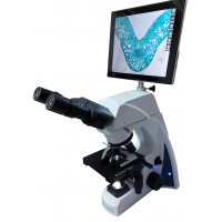 Digital Binocular 10" LCD Microscope